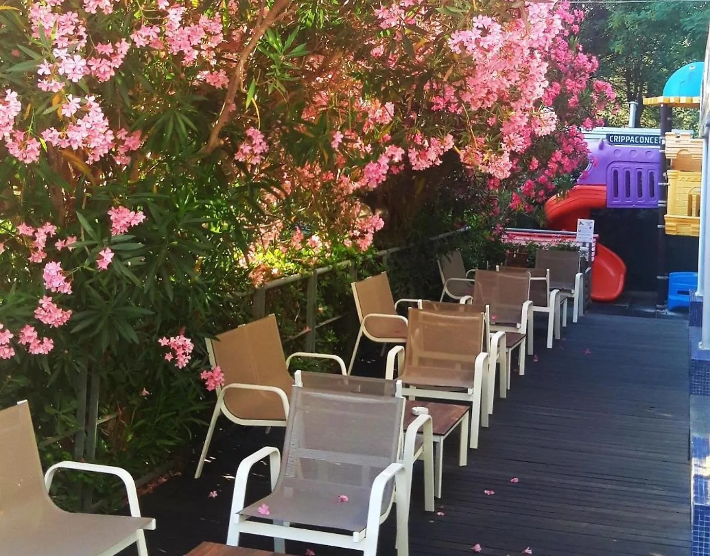 Hotel Felix Rimini